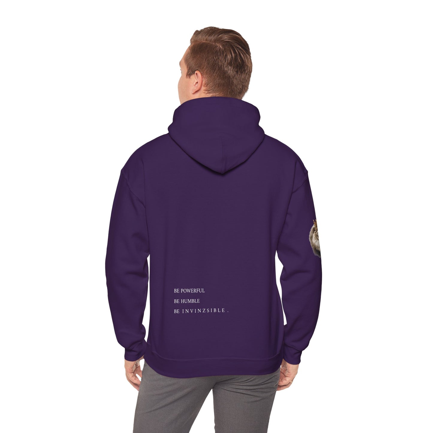 NEW LION COLLECTION I N V I N Z S I B L E Men's Hooded Sweatshirt - I N V I N Z S I B L E