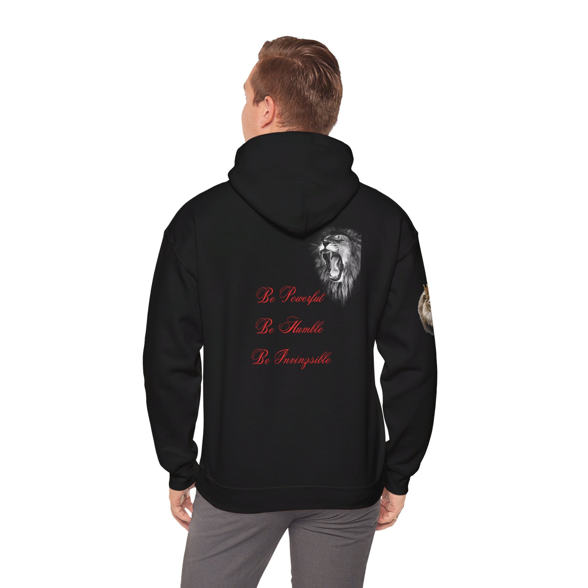 NEW Arrival Men's I N V I N Z S I B L E  Hooded Sweatshirt Black Color - I N V I N Z S I B L E 