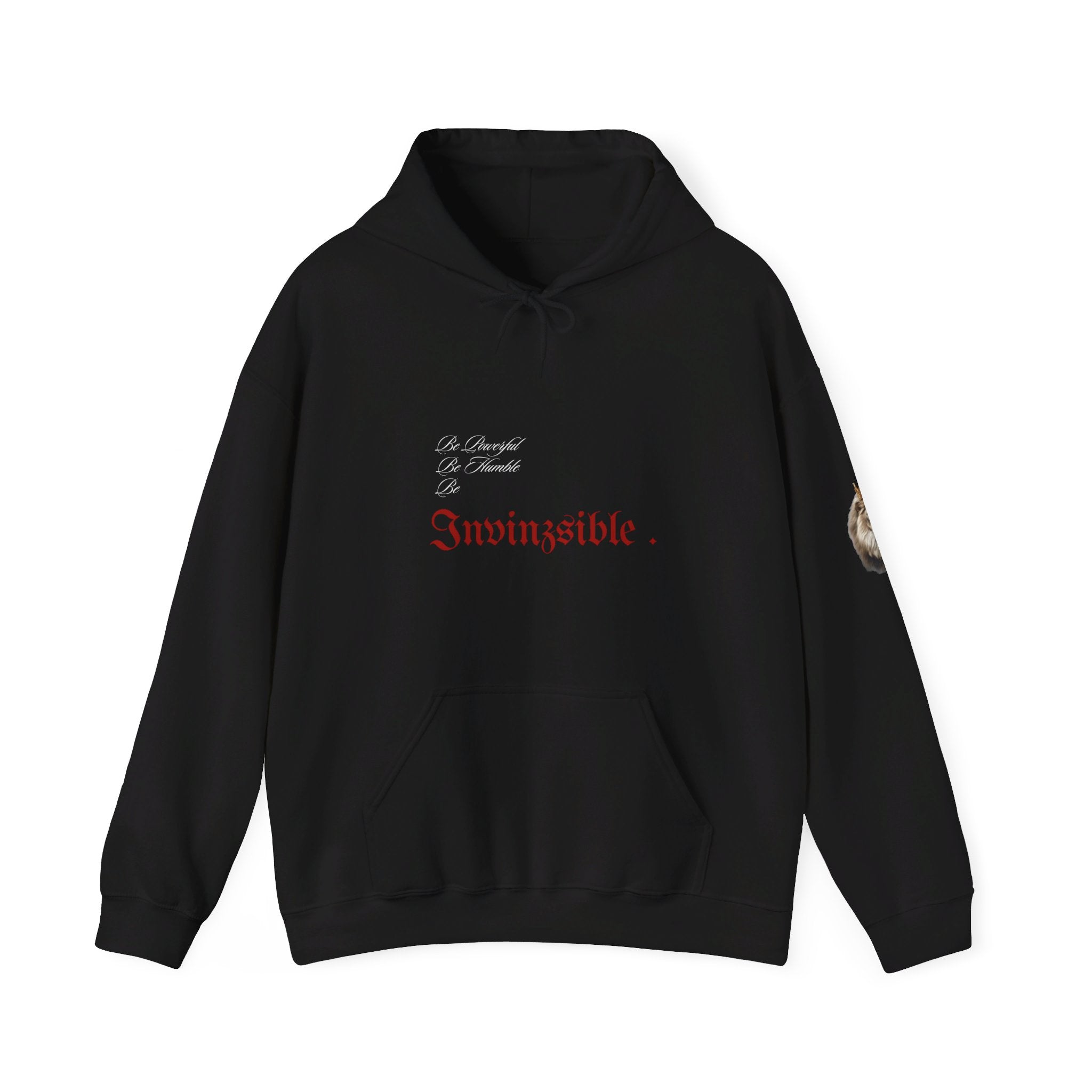 NEW ARRIVAL I N V I N Z S I B L E Men’s Hooded Sweatshirt Black - I N V I N Z S I B L E 
