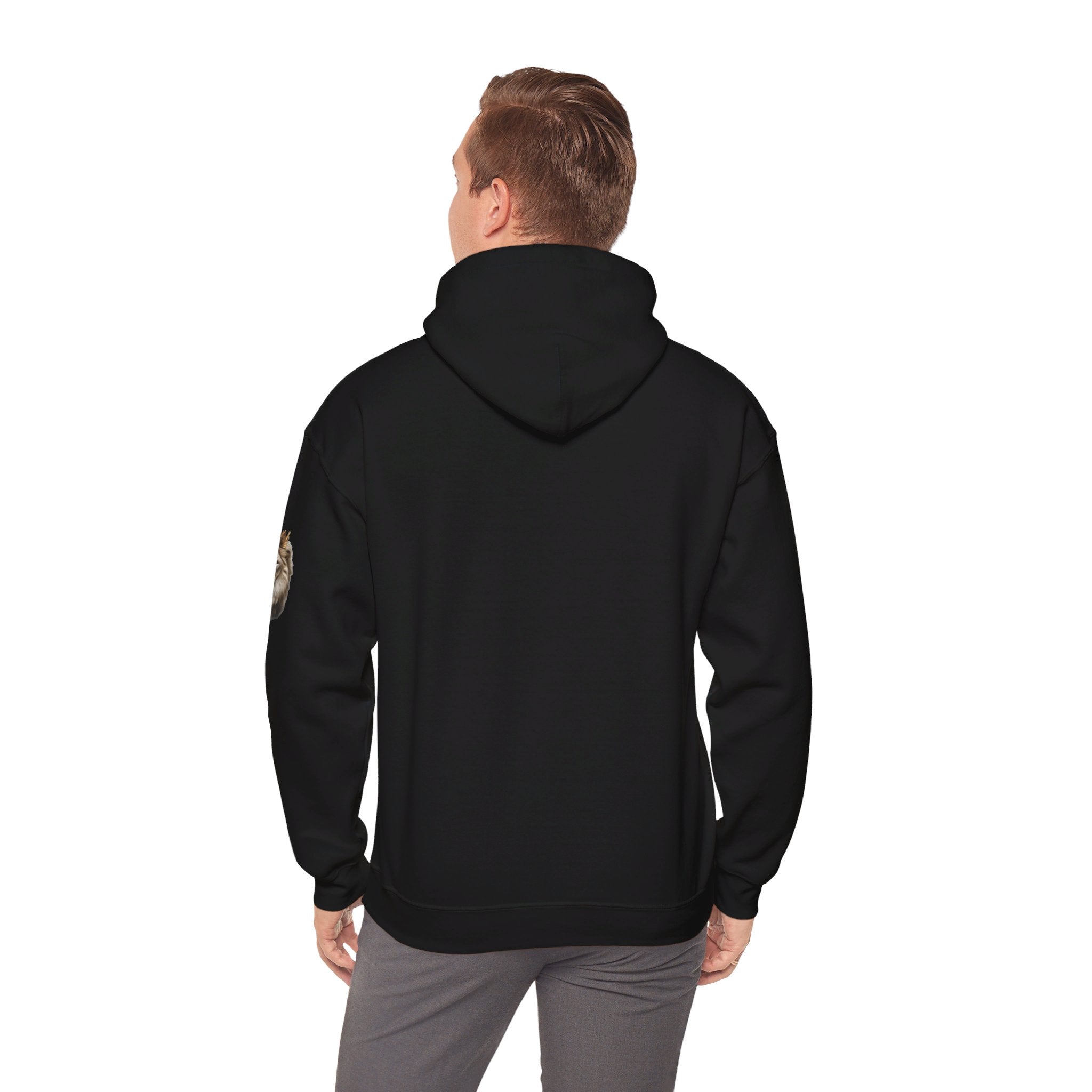 NEW ARRIVAL I N V I N Z S I B L E Men’s Hooded Sweatshirt Black - I N V I N Z S I B L E 